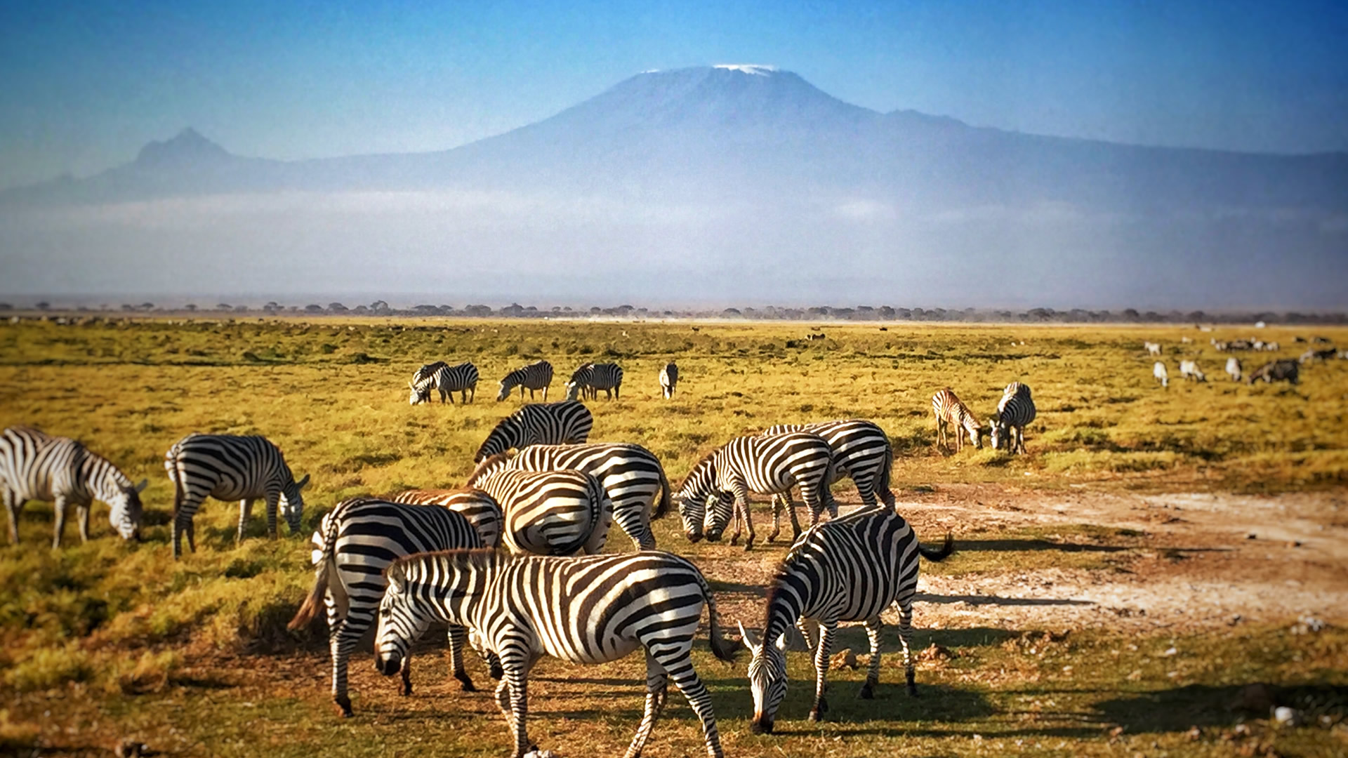 Amboseli National Park Jionee Africa
