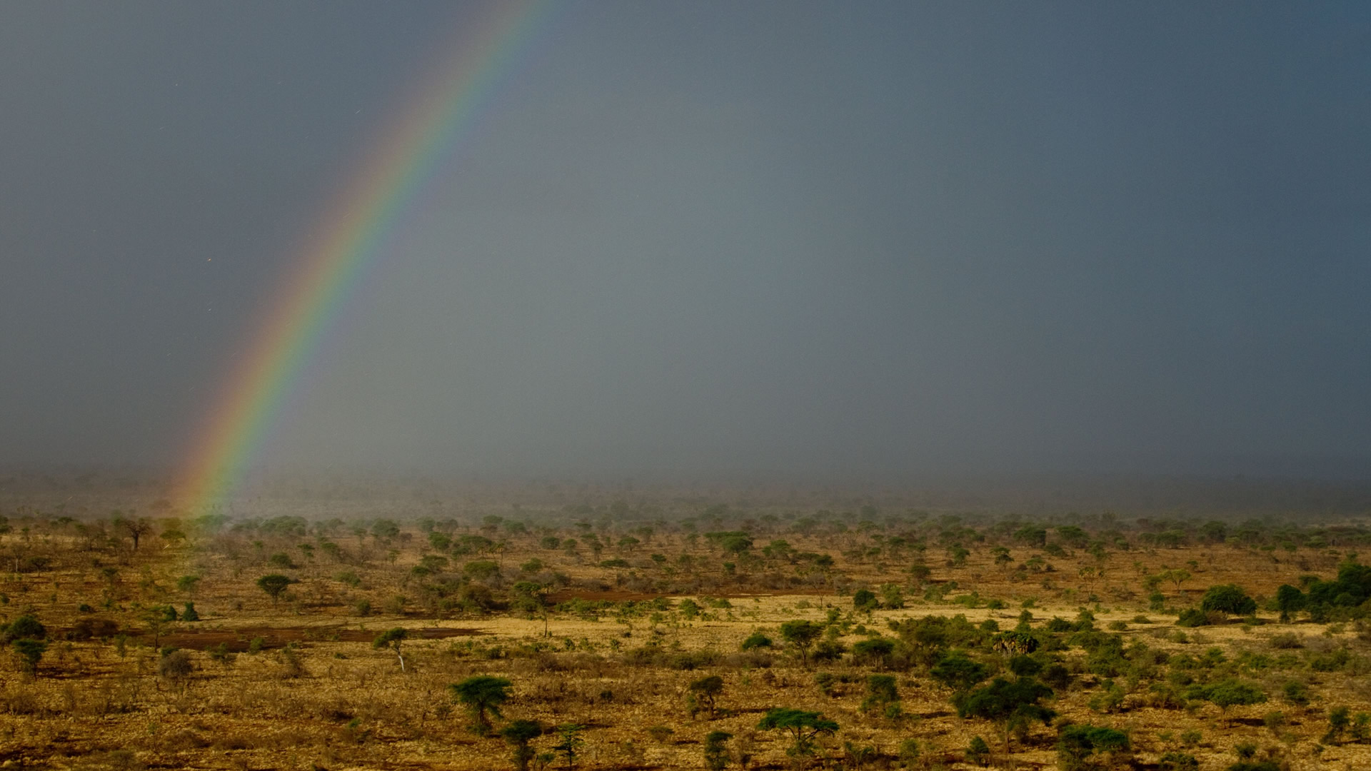 meru national park meru national park