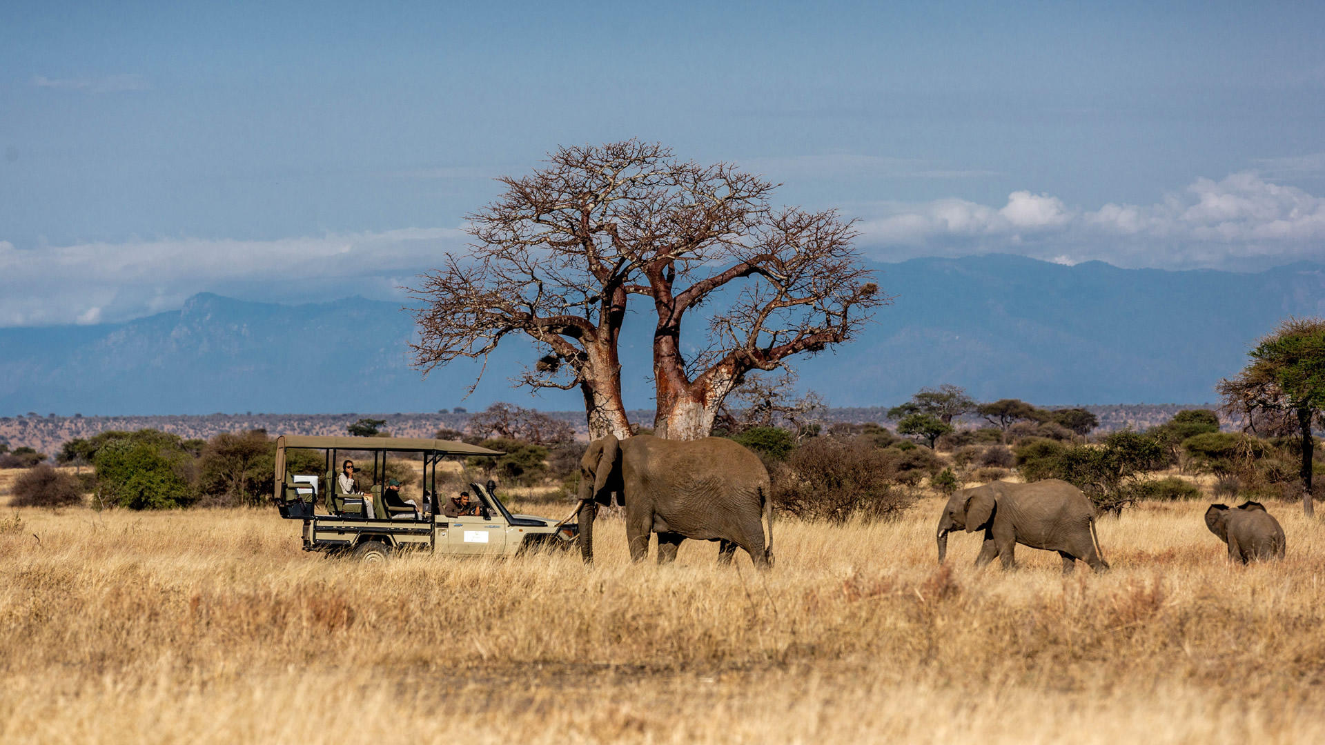 tarangire national park tarangire national park