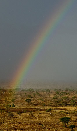 meru national park meru national park
