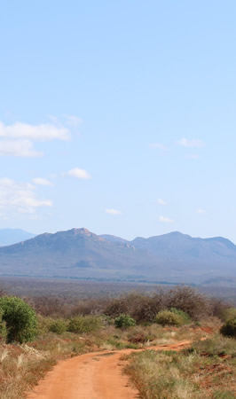 tsavo west national park tsavo west national park